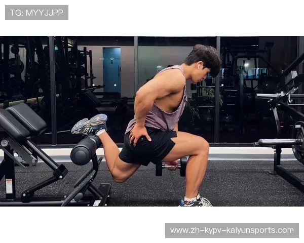 高效燃脂增肌腿部训练器械优选指南 高效燃脂增肌腿部训练器械优选指南